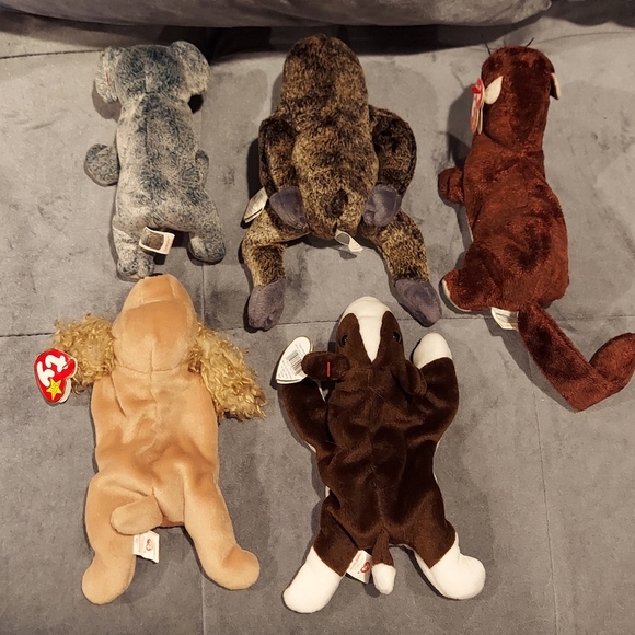 TY TOYS RETIRED BEANIE BABY BUNDLE OF 5 BRUNO SPUNKY SLOWPOKE EUCALYPTUS RUNNER - Picture 8 of 10